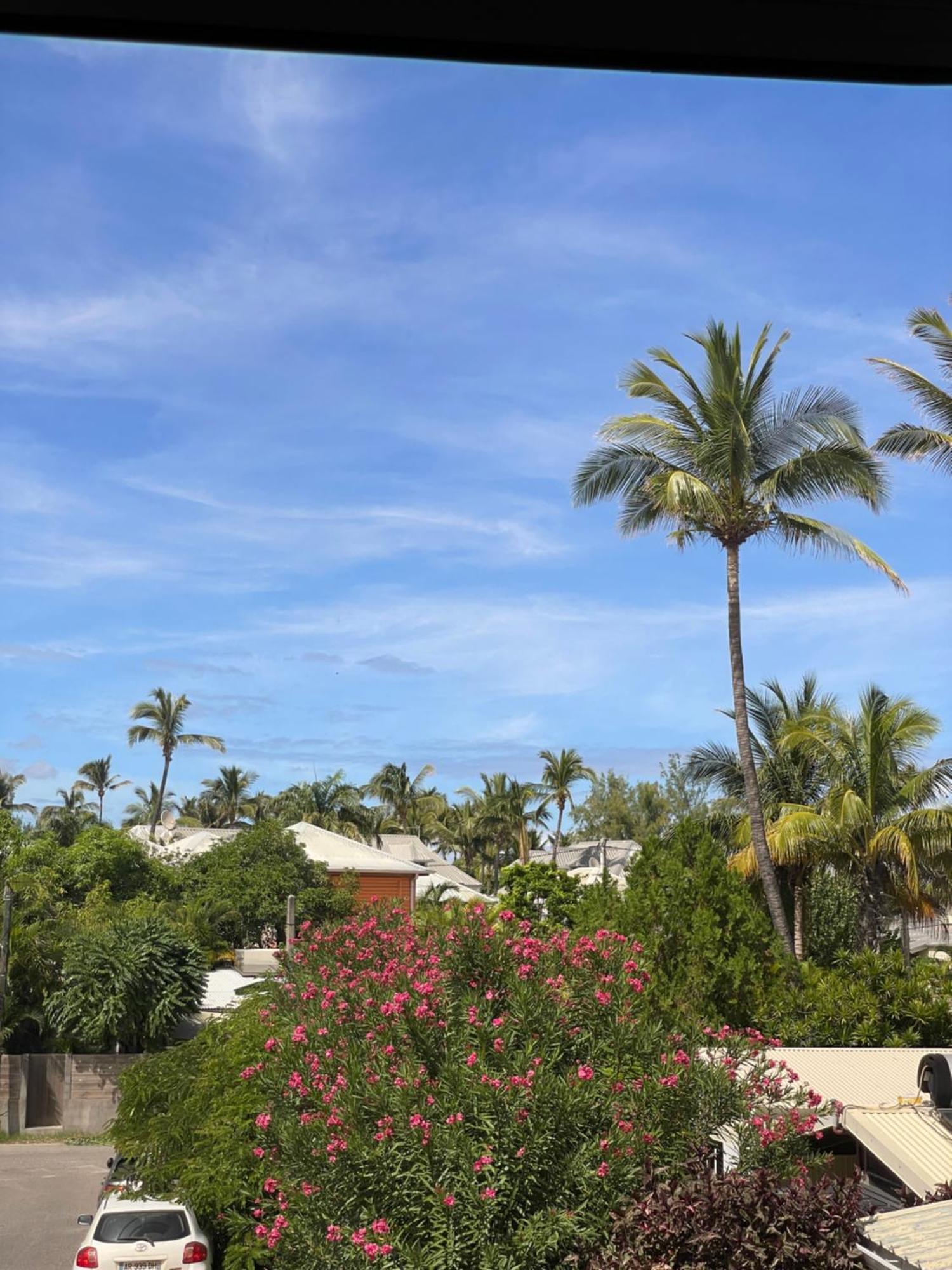 Le Tournesol Apartment La Saline Le Bains Bagian luar foto